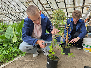 Экзамен пройден — путь к садовым вершинам открыт!